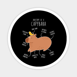 Capybara Anatomy Magnet